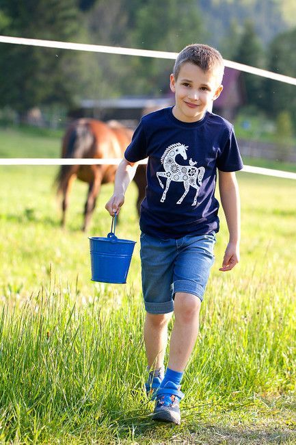 tričko chlapecké Folk Horse